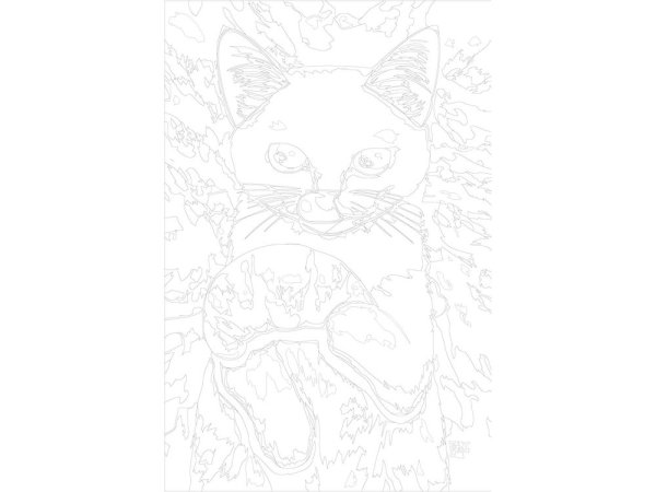 Раскраски серый кот по номерам (46 фото)