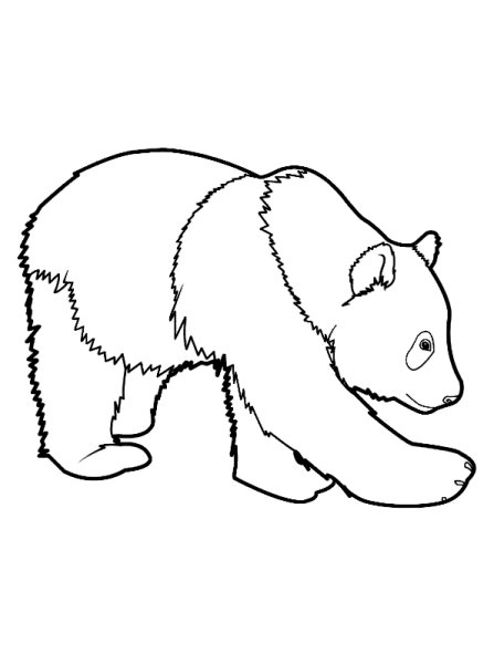 Большая Панда раскраска