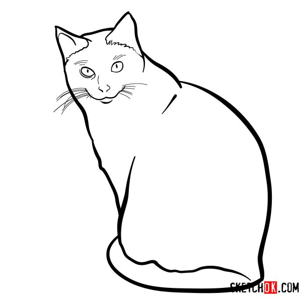 Chat Sketch