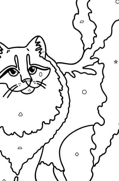 Разукрашка кошка Сибирская