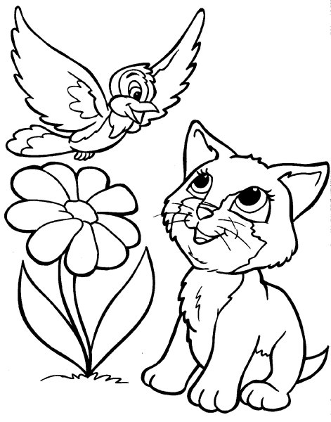 Кошки. Раскраска