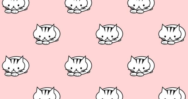 Котик. Раскраска с наклейками