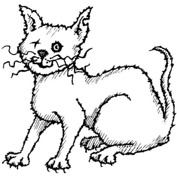 Scared Cat Coloring