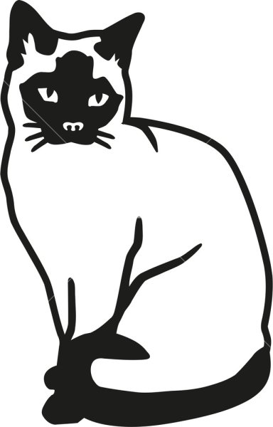 Силуэт сиамской кошки