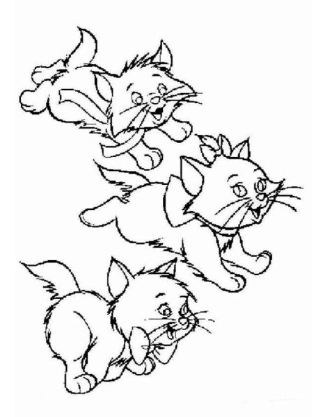 Раскраска. Котики