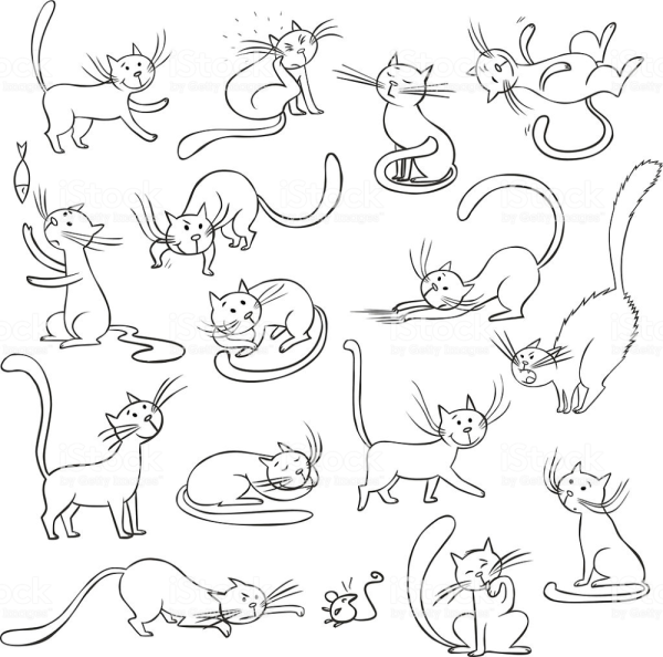 Мультяшные котики в разных позах