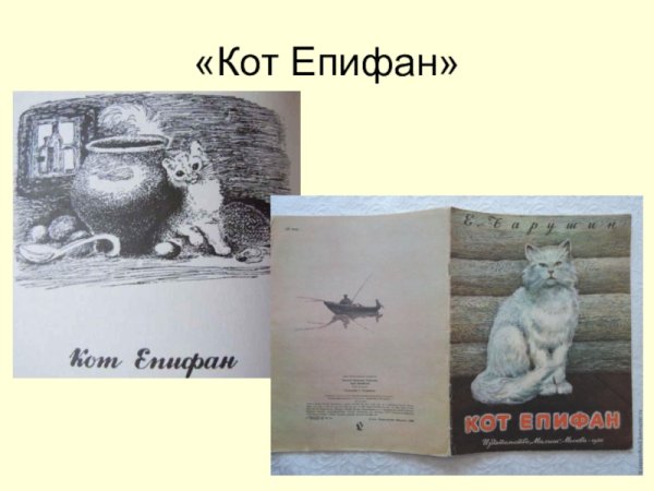 Е Чарушин кот Епифан