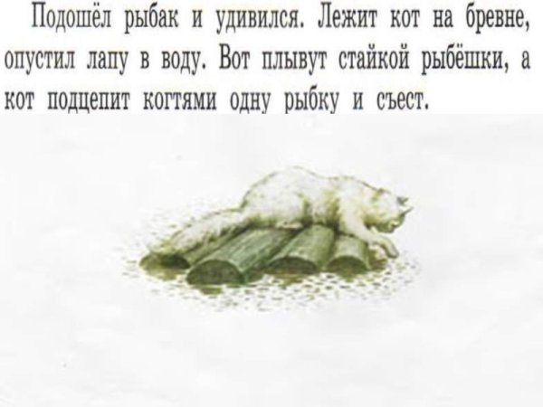 Кот Епифан Чарушин