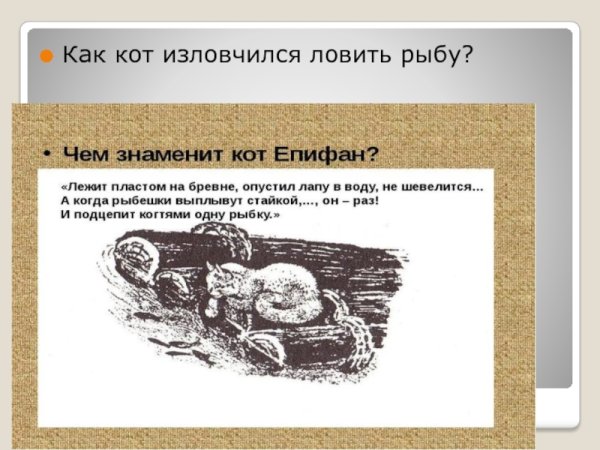 Кот Епифан