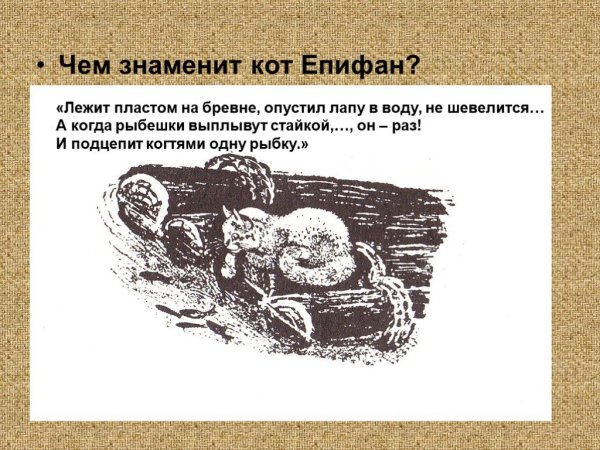 Евгений Чарушин кот Епифан
