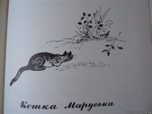 Чарушин кошка Маруська