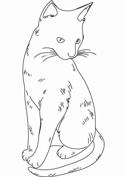 Контур котиков