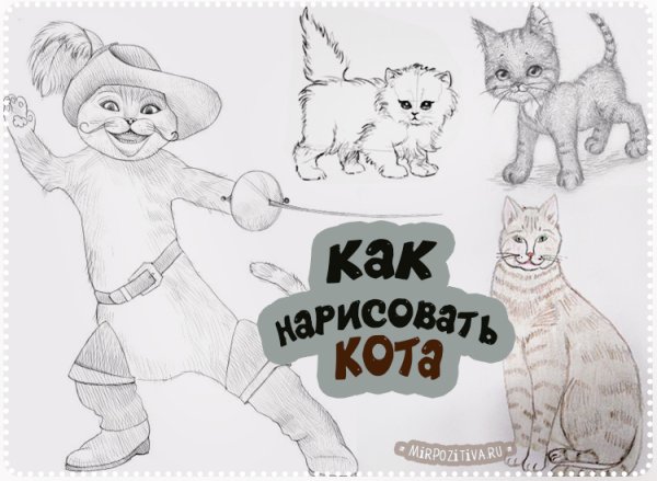 Кот и лодыри рисовать легко