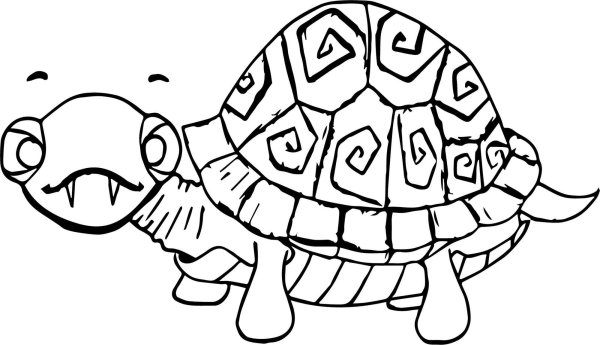Раскраски черепаха кошки (39 фото)