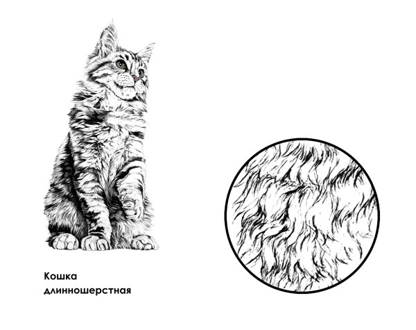 Как нарисовать шерсть кошки