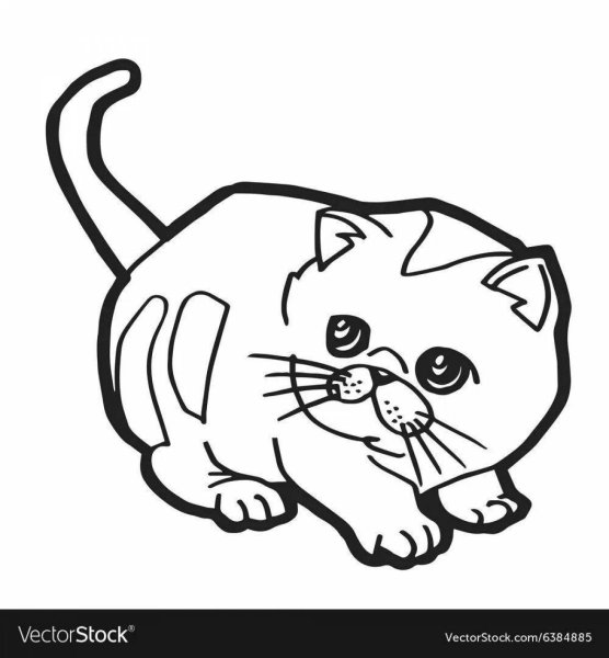 Вислоухая кошка раскраска