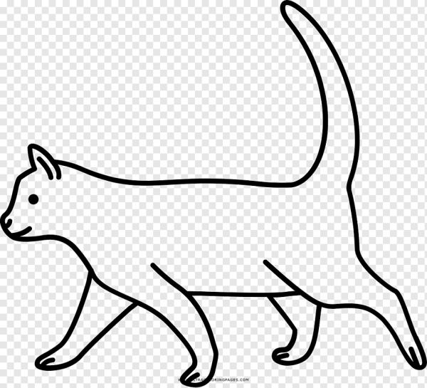 Раскраска кошка короткошерстная