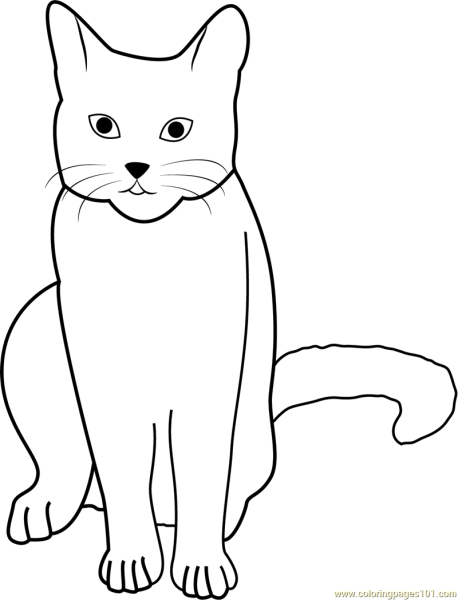 Кот сидит рисунок для детей