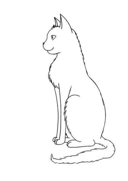 Нарисовать сидящего кота