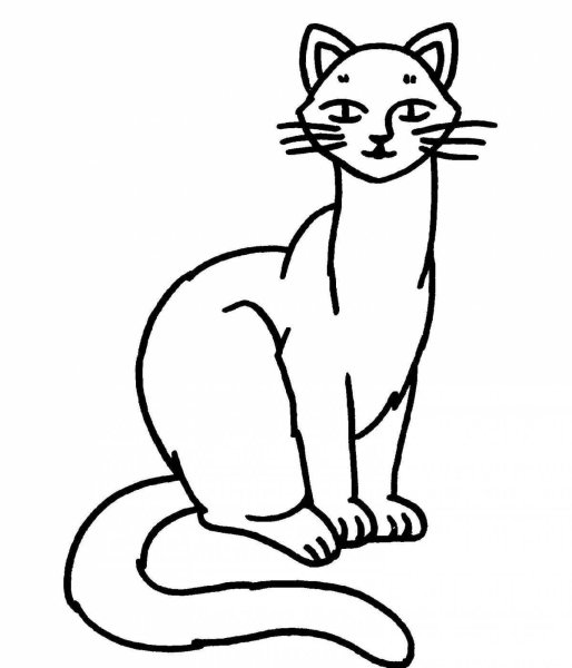 Раскраски животных кошек