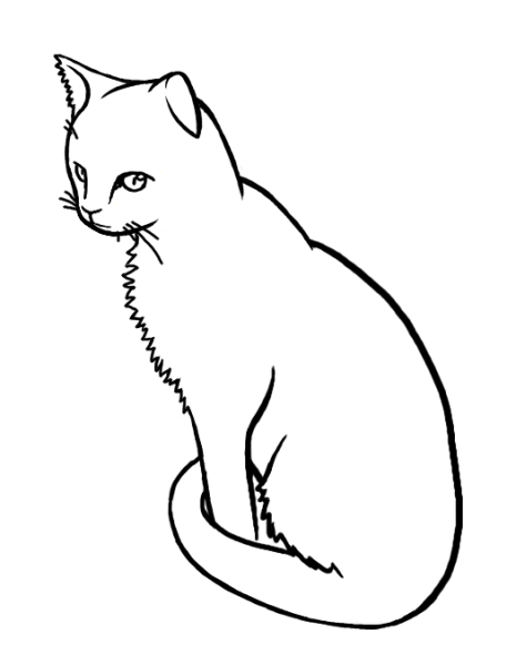 Нарисовать сидящего кота