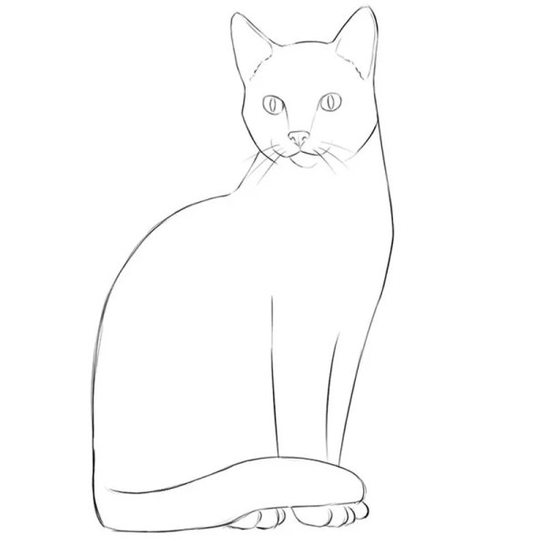 Быстрый рисунок кошки