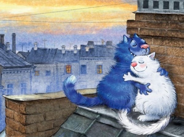 Коты Рины Зенюк 2020 год