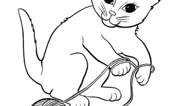 Раскраска котик с клубком