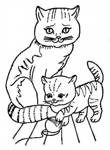 Кошка раскраска для детей