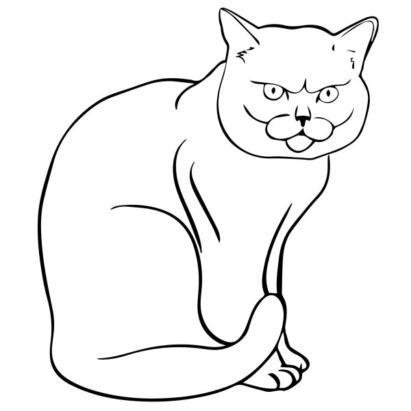 Кошечка раскраска для детей