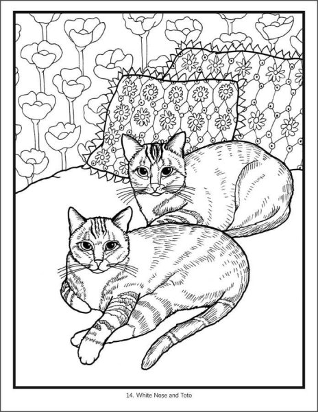 Раскраска кот