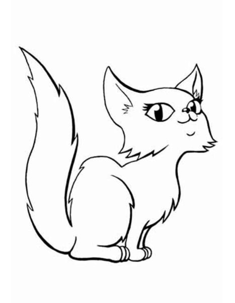 Белая кошка раскраска