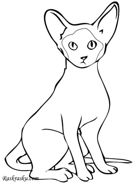 Bastet богиня Египта эскиз