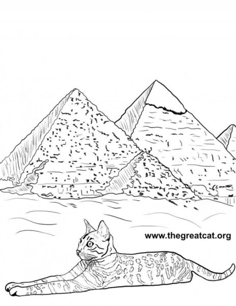 Египетская МАУ кошка