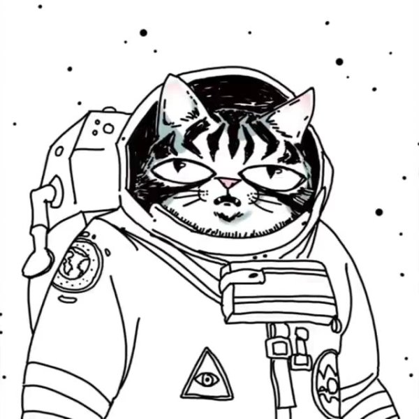 Раскраски кот в космосе (37 фото)