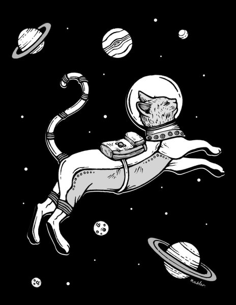 Кот космонавт на Луне