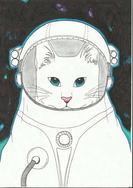 Кот в скафандре