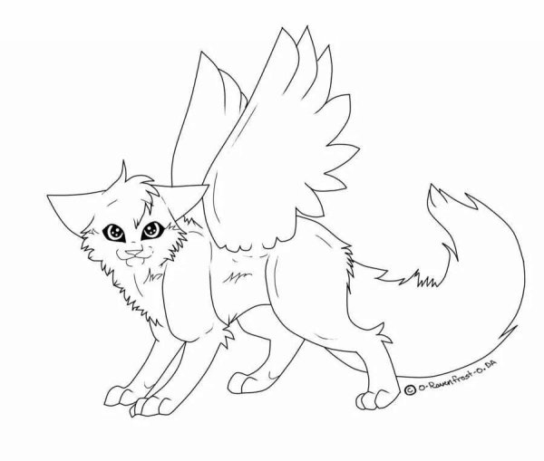 Коты Воители лайн кошка