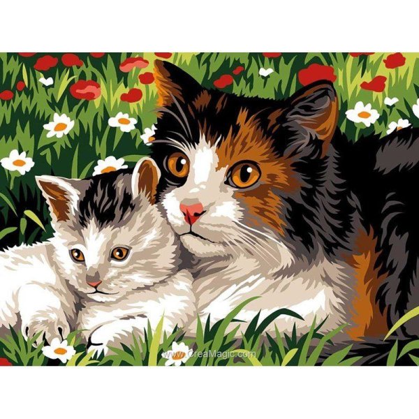 Раскраски картина по номерам коты (48 фото)