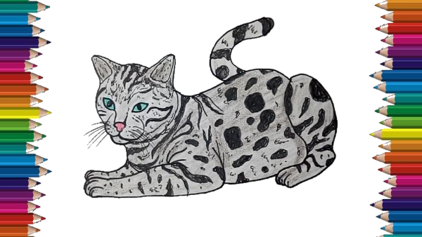 Раскраска Бенгальская кошка