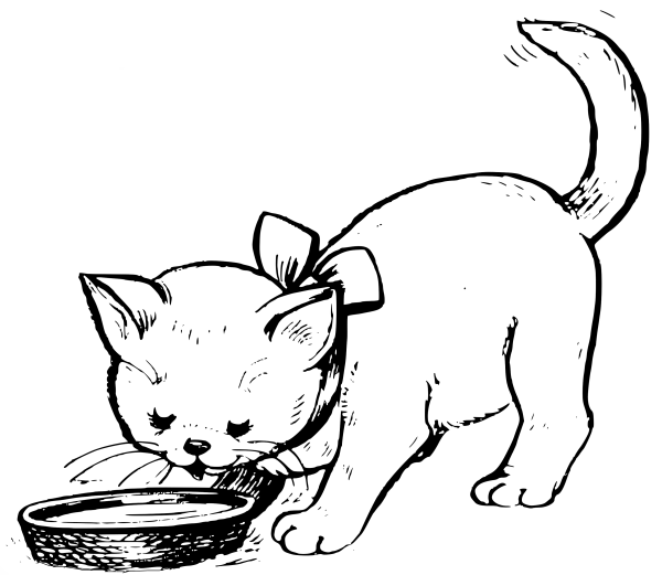 Котенок. Раскраска