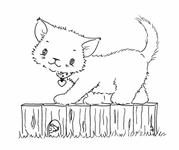 Кошка на окошке раскраска