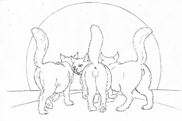 Шлёпа раскраска кот