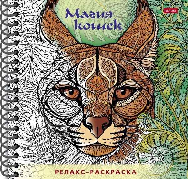 Раскраска релакс магия кошек Hatber