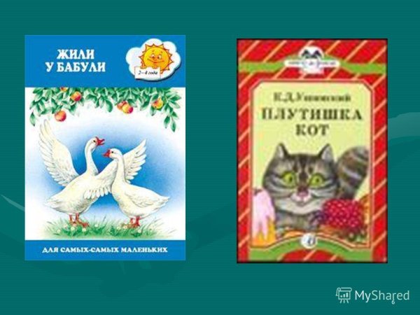 Модель обложки плутишка кот