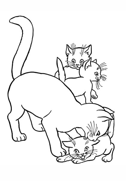 Кошки. Раскраска