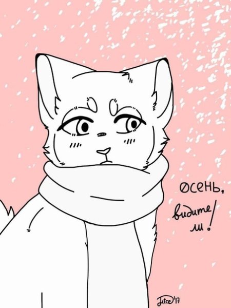 Коты Воители лайны Амино реквы