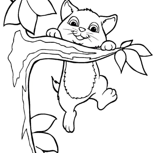 Кошки. Раскраска
