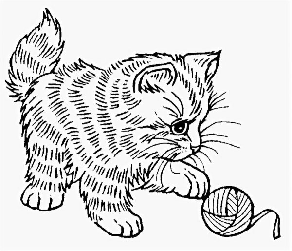 Раскраска кошка с клубком