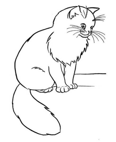 Кошки. Раскраска